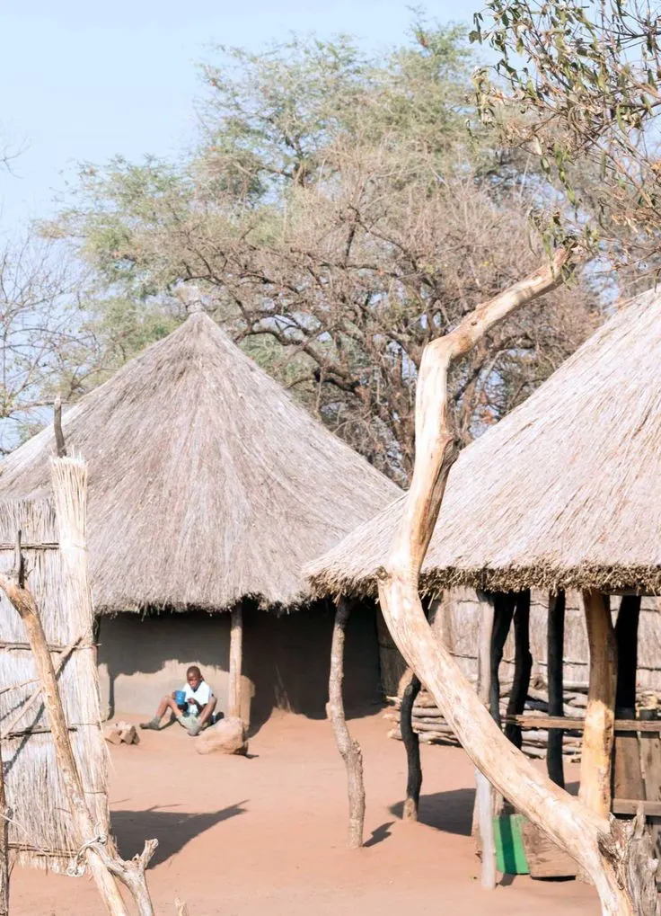 5-Day Okavango Delta & Moremi Explorer