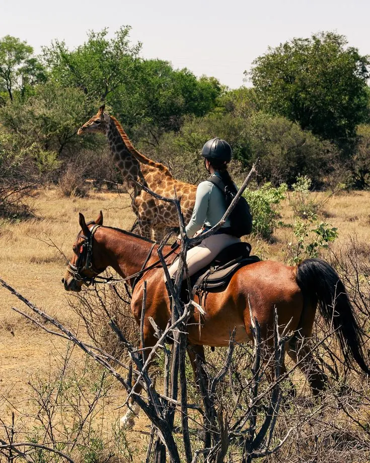 Horse Back Safari